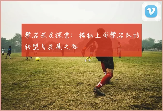 攀岩深度探索：揭秘上海攀岩队的转型与发展之路