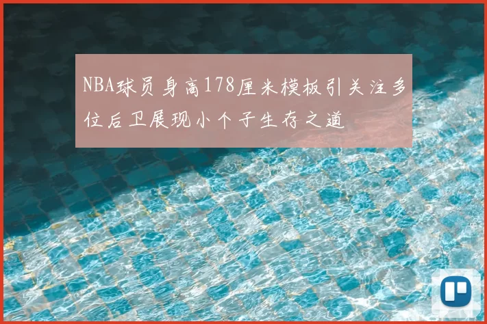 NBA球员身高178厘米模板引关注多位后卫展现小个子生存之道