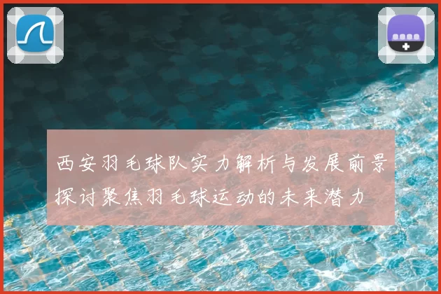 西安羽毛球队实力解析与发展前景探讨聚焦羽毛球运动的未来潜力