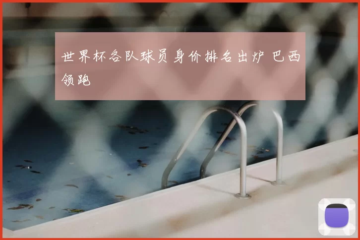 世界杯各队球员身价排名出炉 巴西领跑