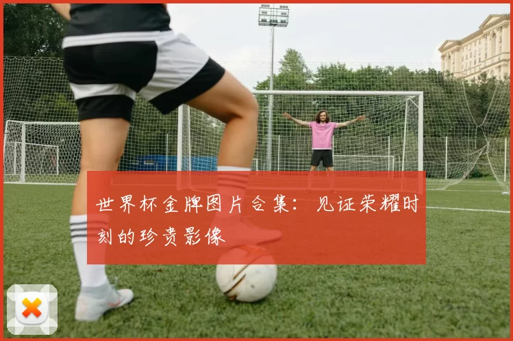 世界杯金牌图片合集:见证荣耀时刻的珍贵影像