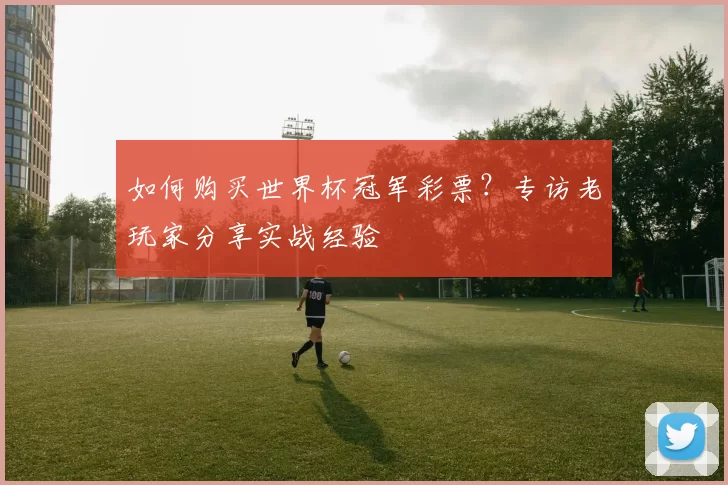 如何购买世界杯冠军彩票?专访老玩家分享实战经验
