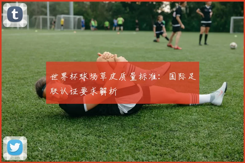 世界杯球场草皮质量标准：国际足联认证要求解析