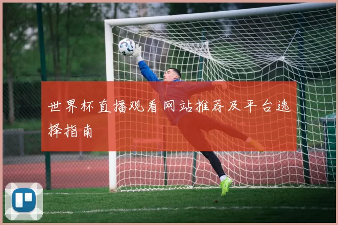 世界杯直播观看网站推荐及平台选择指南