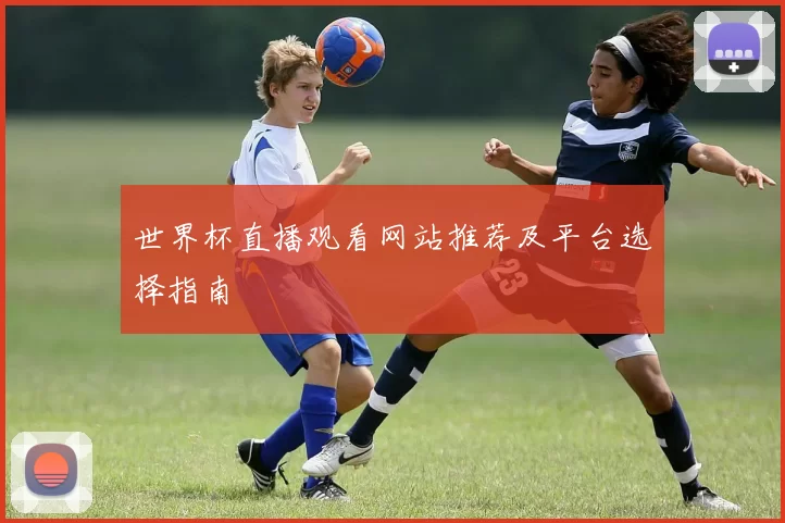 世界杯直播观看网站推荐及平台选择指南