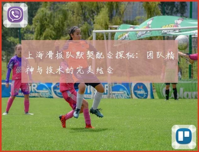 上海滑板队默契配合探秘:团队精神与技术的完美结合