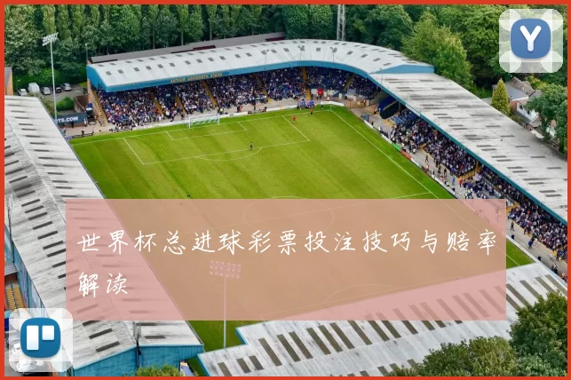 世界杯总进球彩票投注技巧与赔率解读