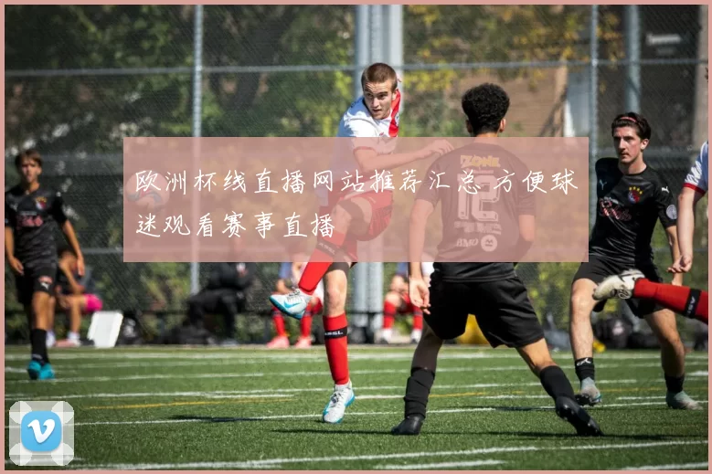欧洲杯线直播网站推荐汇总 方便球迷观看赛事直播