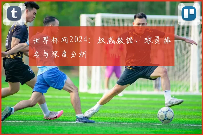世界杯网2024:权威数据、球员排名与深度分析