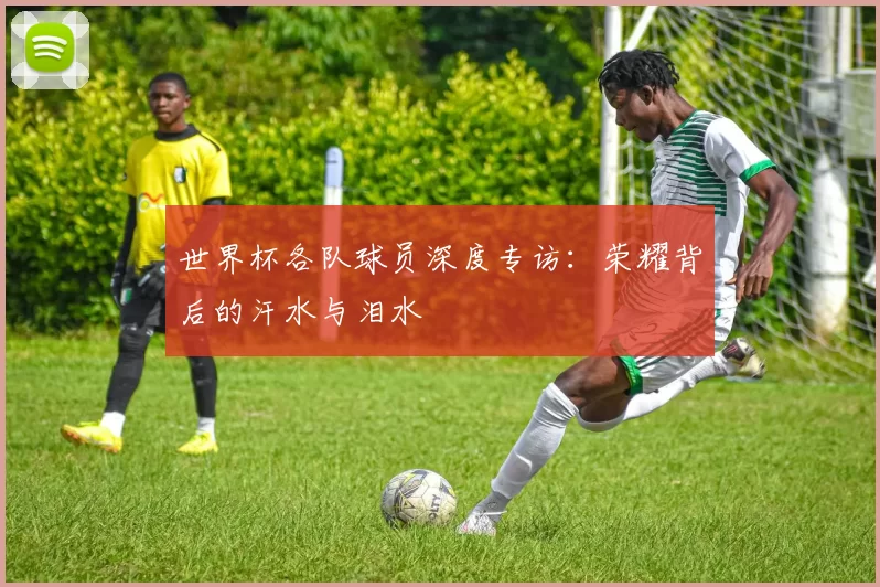世界杯各队球员深度专访:荣耀背后的汗水与泪水