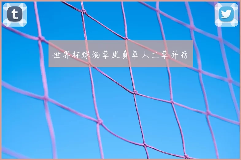 世界杯球场草皮真草人工草并存