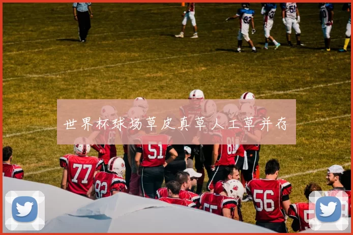 世界杯球场草皮真草人工草并存