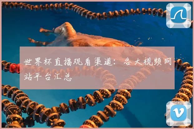 世界杯直播观看渠道：各大视频网站平台汇总